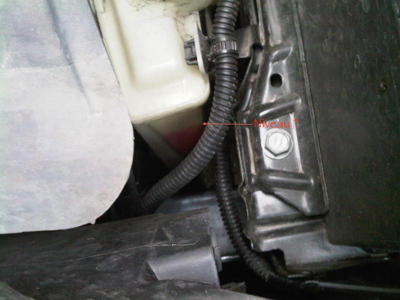Liquide de refroidissement pour 1.0 - C1 - Citron - Forum Marques  Automobile - Forum Auto