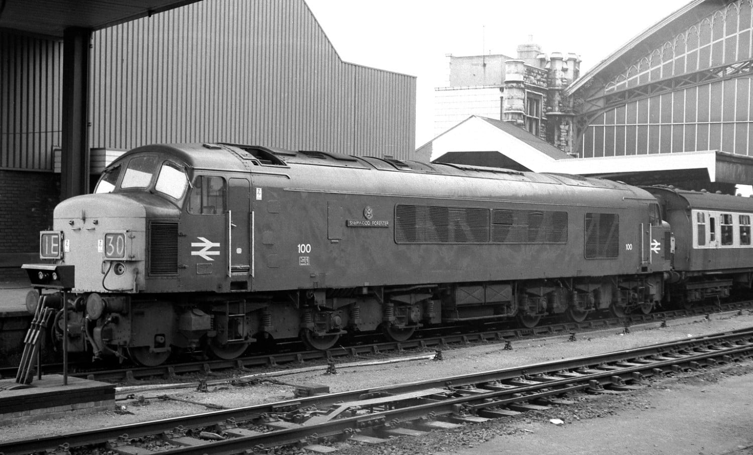 N Gauge Class 44 - with 45 & 46 to follow... - Page 11 - Rapido Trains
